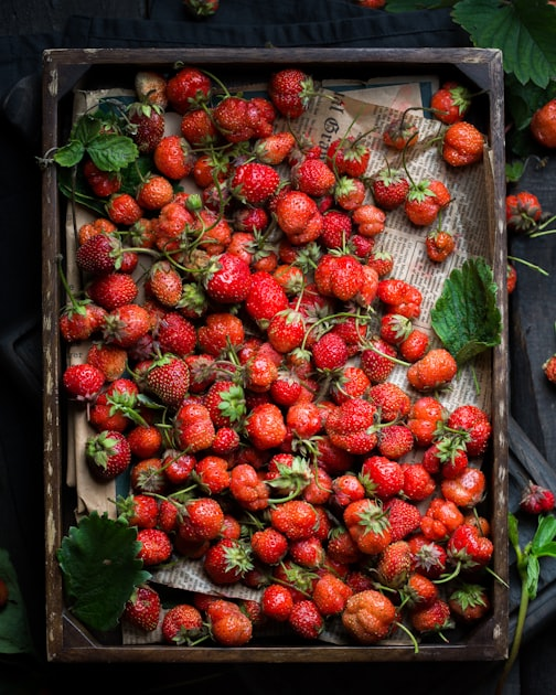 Improving Fruit Quality